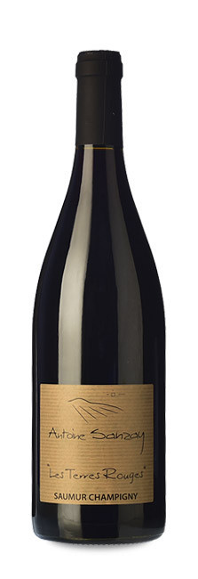 Domaine Antoine Sanzay Saumur Champigny