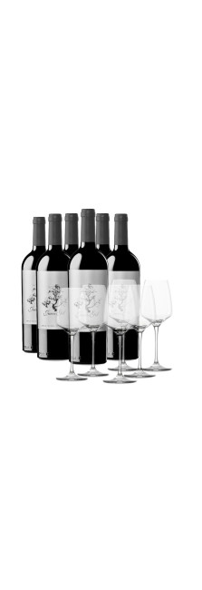 Box 6 bottles Juan Gil Silver Label 12 meses + 6 glasses