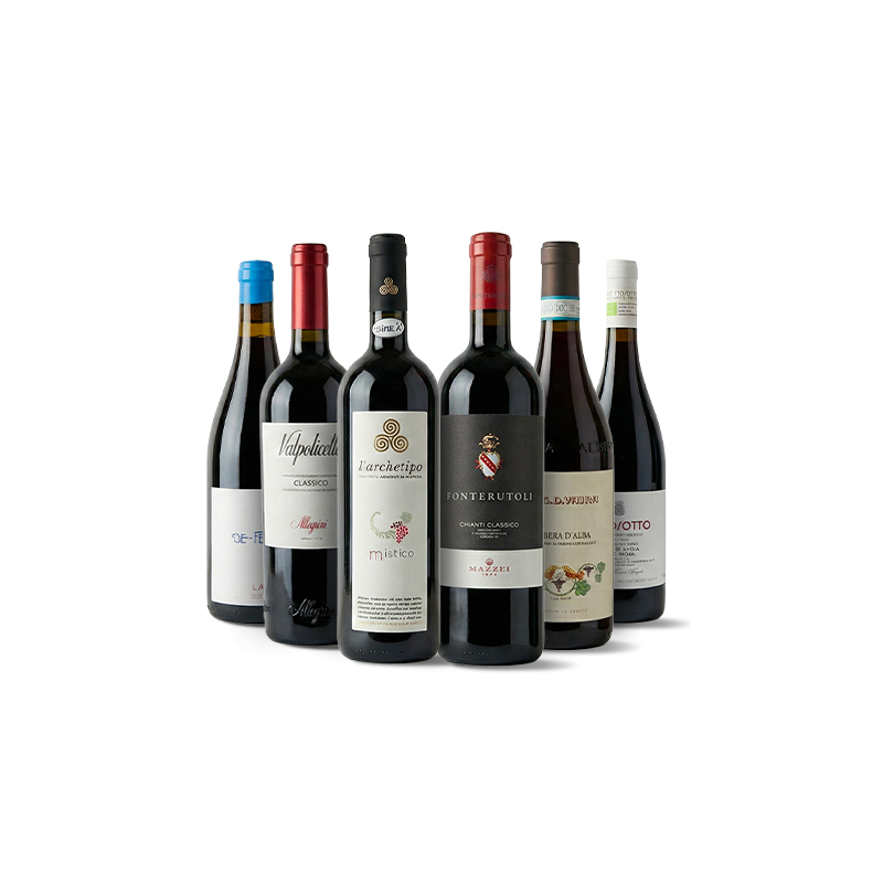 Conoce Italia a través de sus vinos