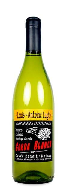 Louis-Antoine Luyt Gorda Blanca