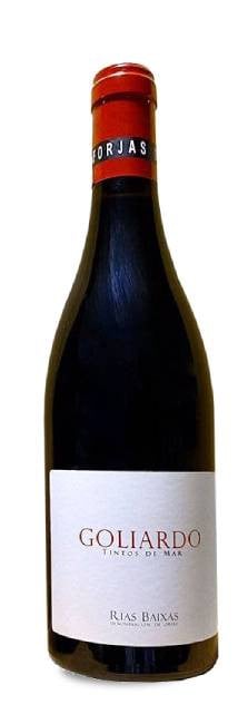 Forjas del Salnés Goliardo Tinto
