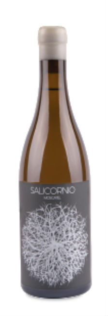 Casa Balaguer Salicornio Moscatel