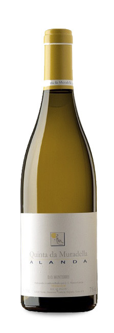 Alanda Blanco