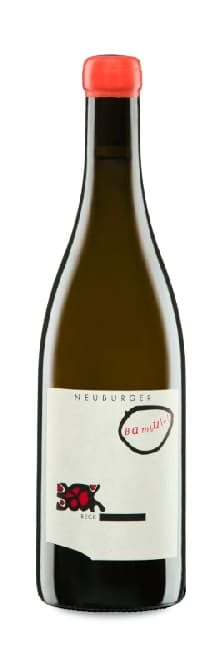 Judith Beck Bambule! Neuburger