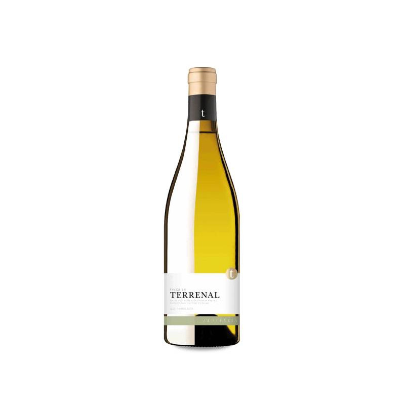 Finca La Terrenal d'Edetària 2021