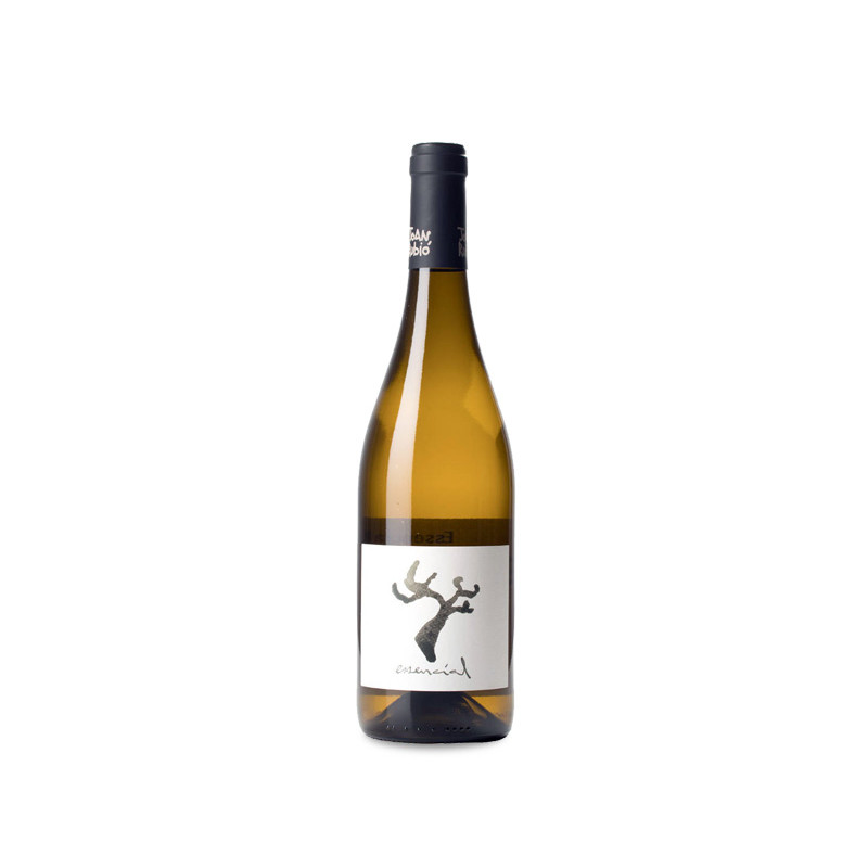 Joan Rubió Essencial 2023