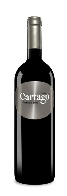 Bodegas y Viñedos San Román Cartago Paraje del Pozo
