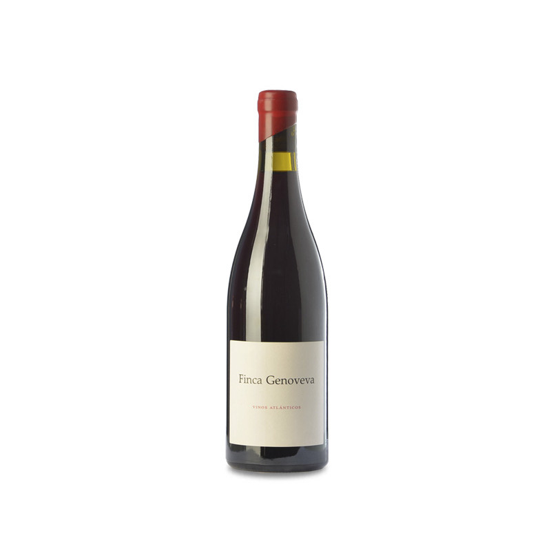 Finca Genoveva Caíño 2022