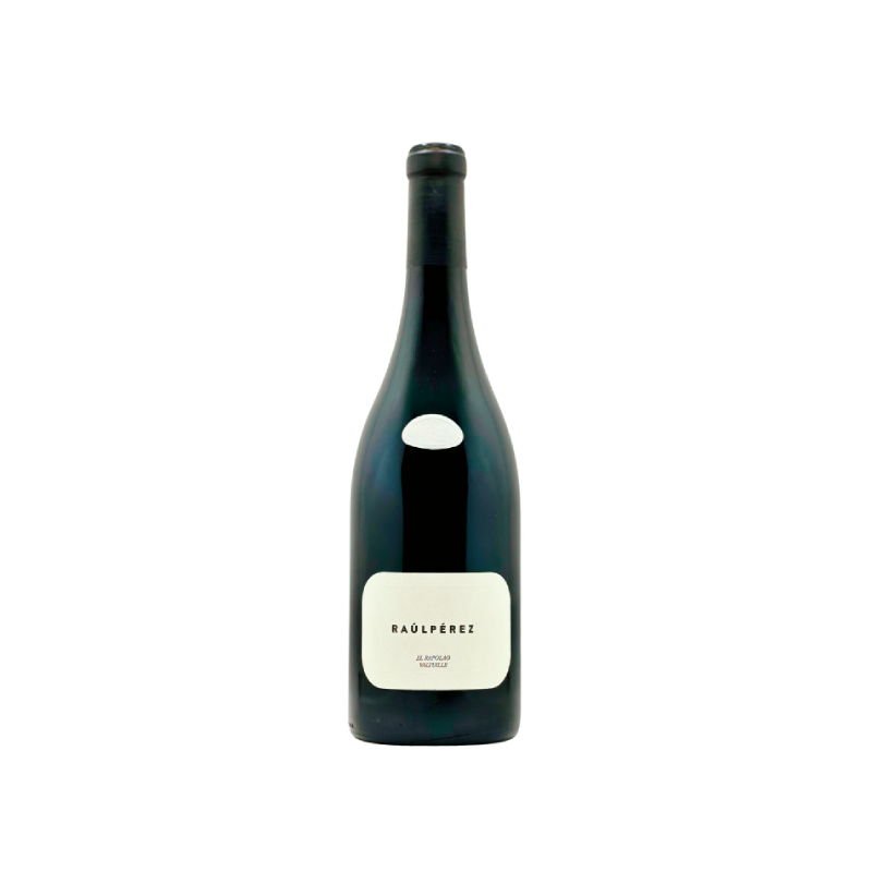 Raúl Pérez Rapolao RP 2021