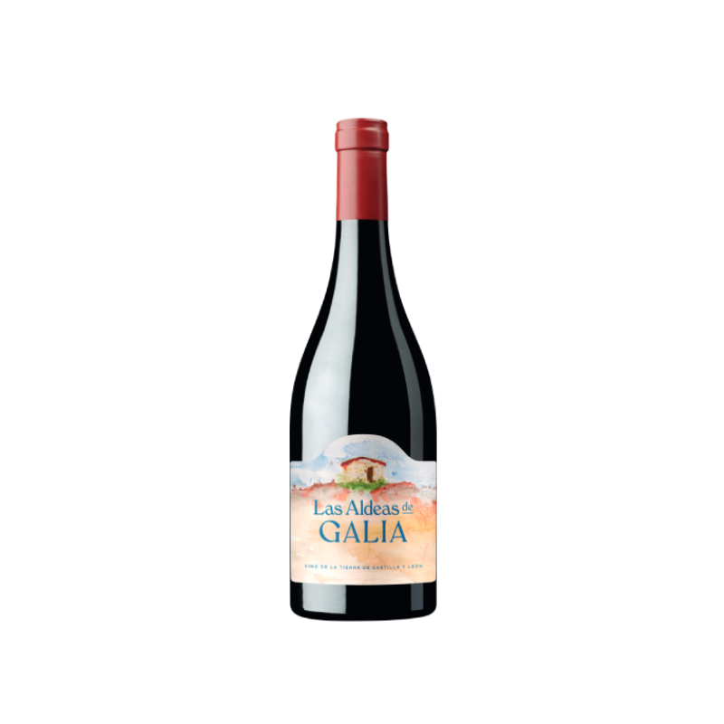 Las Aldeas Galia 2023