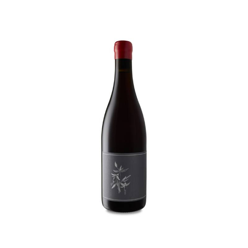 Arnot-Roberts Trousseau Noth Coast 2023