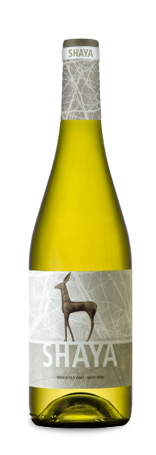 Shaya Verdejo