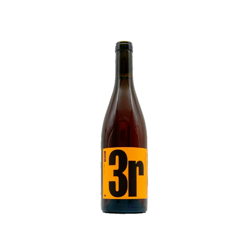 9+ Selecció 3R 2024