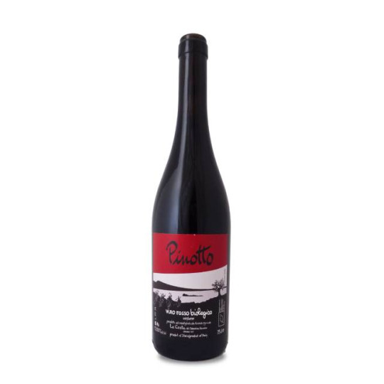 Le Coste Pinotto 2022
