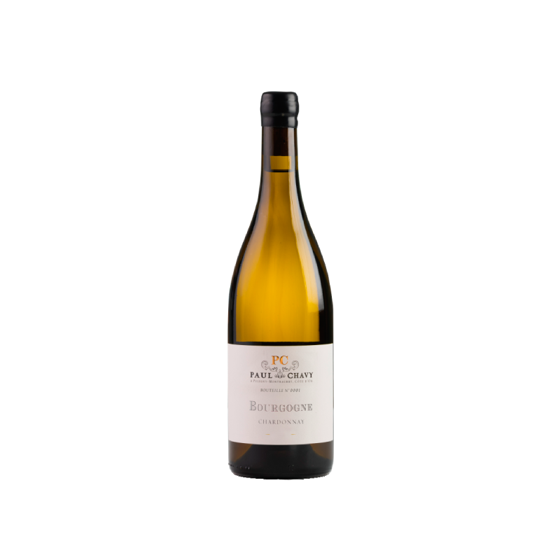 Paul Chavy Bourgogne Chardonnay 2023