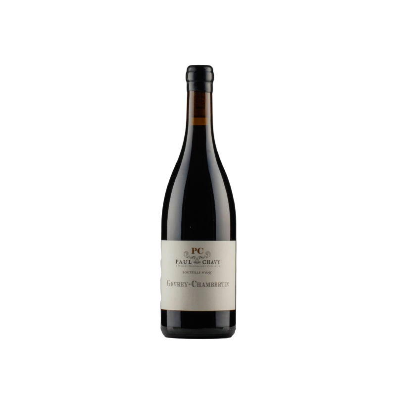 Paul Chavy Gevrey-Chambertin 2023