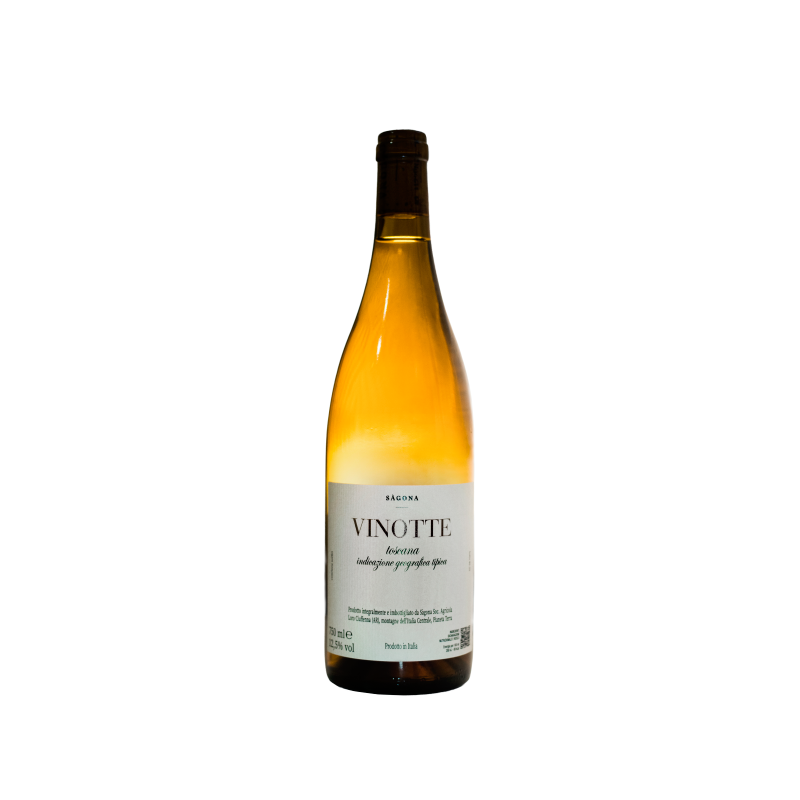 Sàgona ViNotte 2024