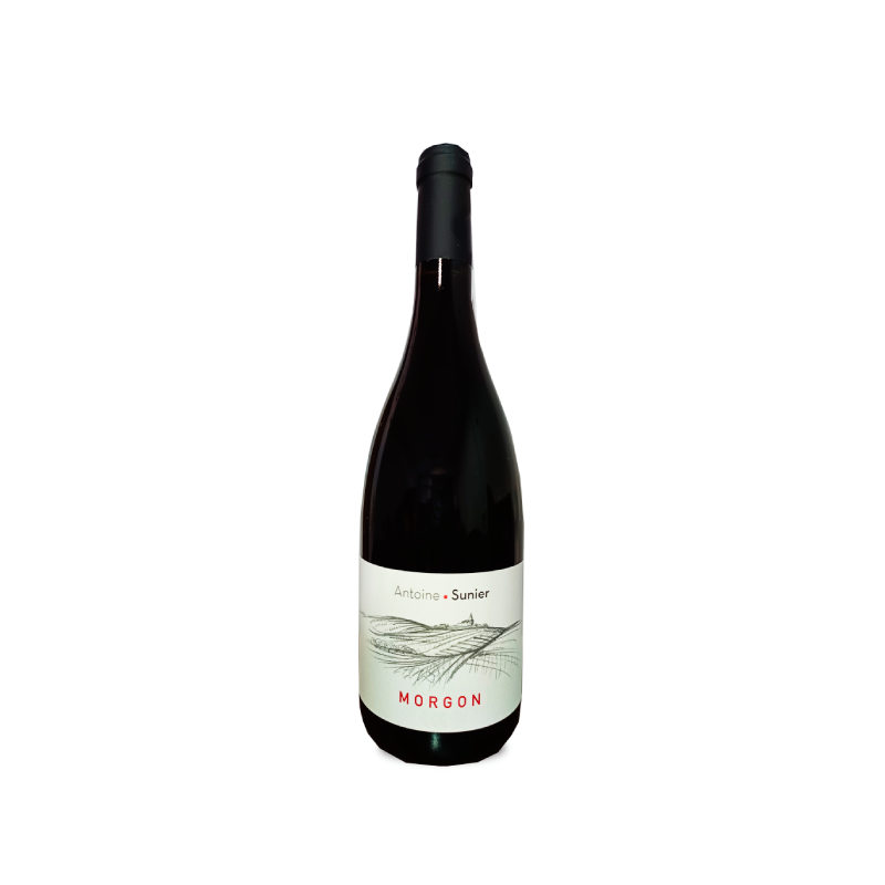 Antoine Sunier Morgon 2023