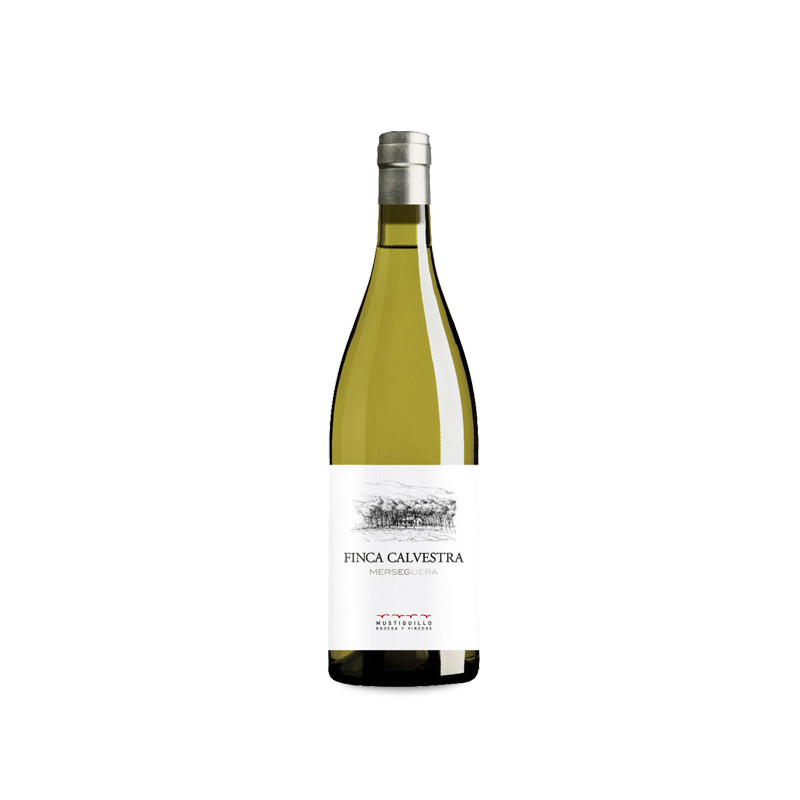 Finca Calvestra 2024