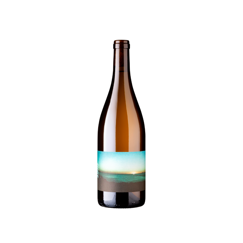 Nicolas Mariotti Bindi Albore Blanc 2024