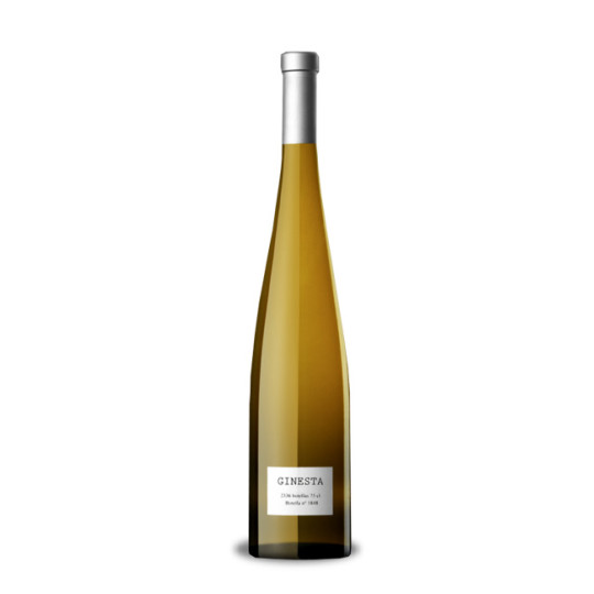 Parés Baltà Ginesta 2024