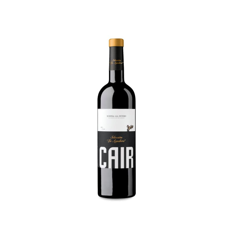 Cair Selección La Aguilera 2021