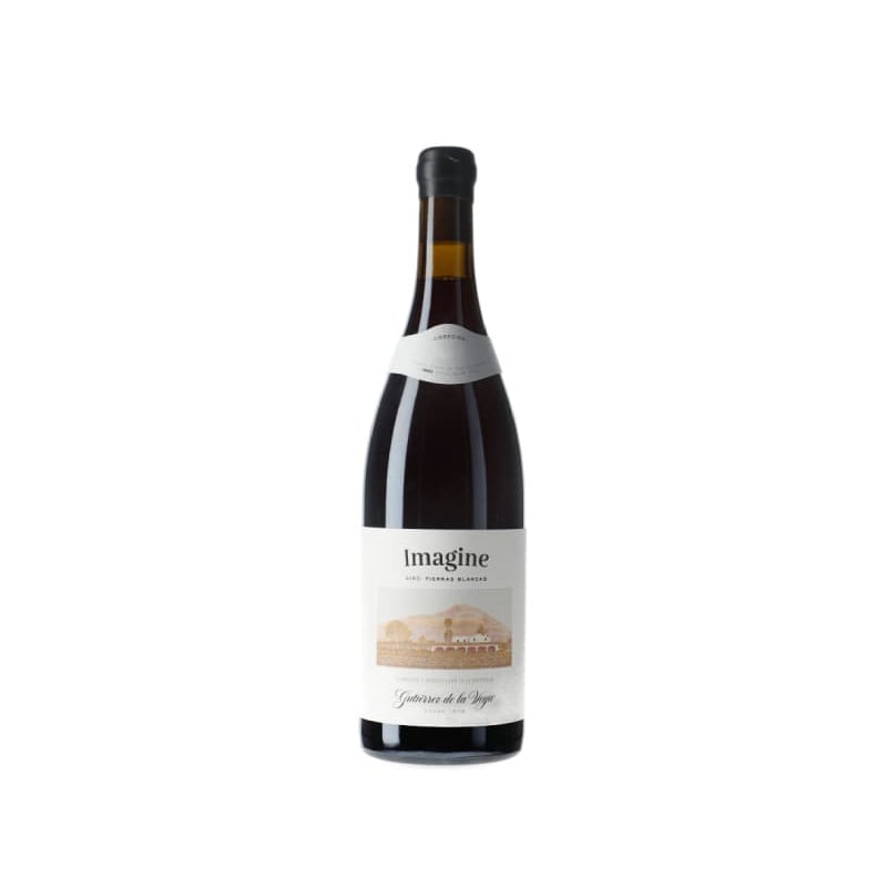 Gutierrez de la Vega Imagine 2021