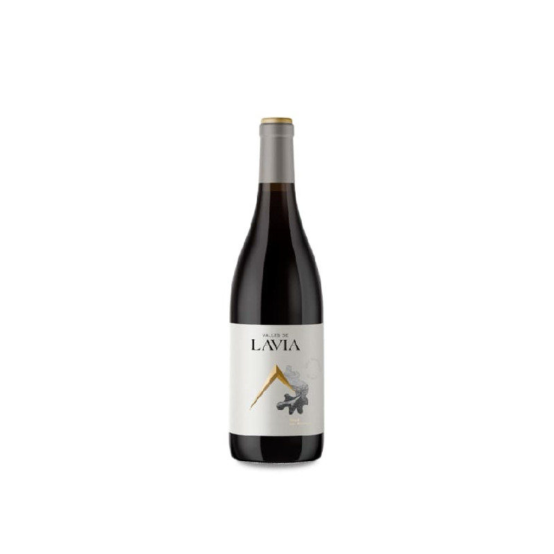 Lavia Valles de Lavia Valle del Aceniche 2022