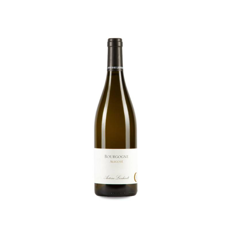 Antoine Lienhardt Bourgogne Aligoté 2023