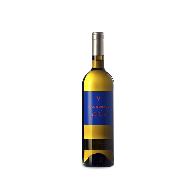 Quinta Apolonia Magnum 2024