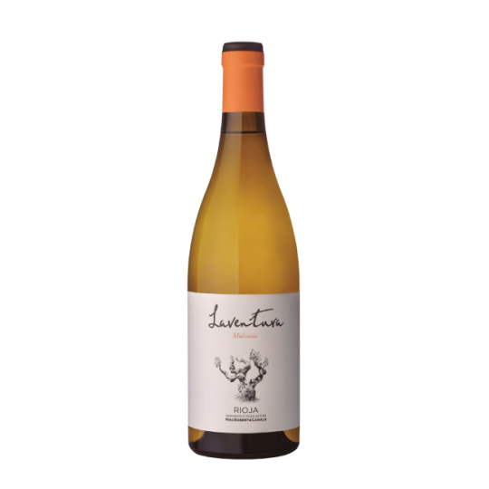 Laventura Malvasia 2024