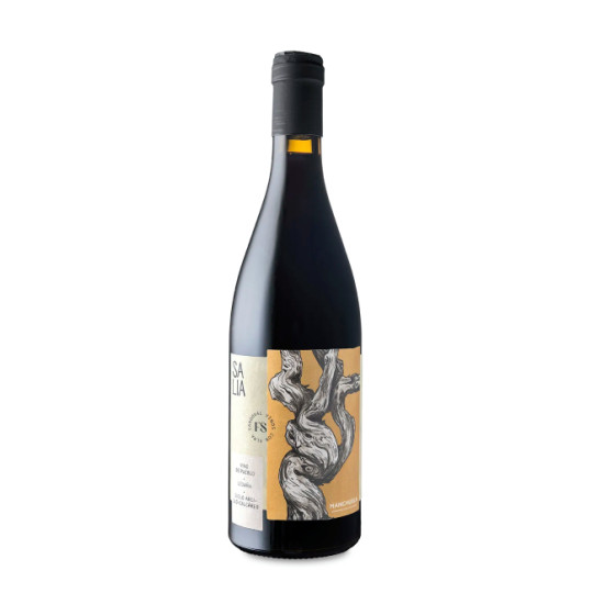 Salia de Finca Sandoval 2024