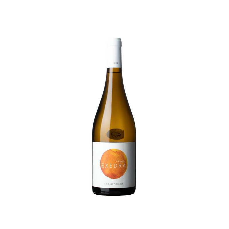 Exedra Amphora Blanc 2024