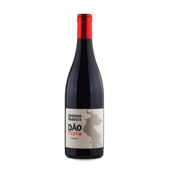 António Madeira Tinto 2022