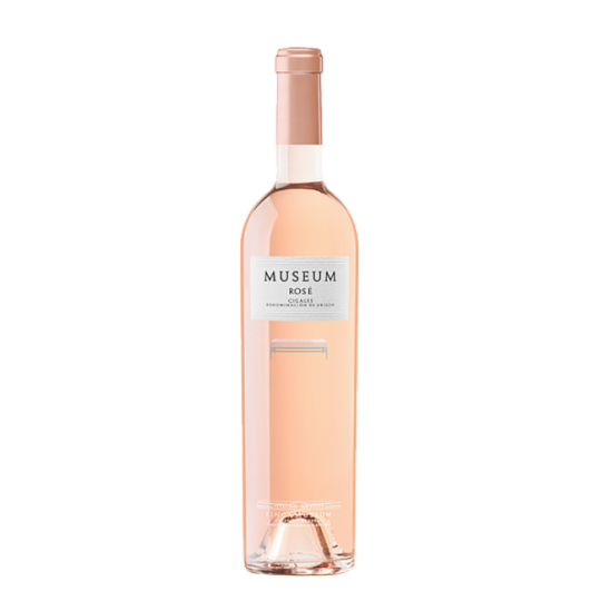 Museum Rose 2025
