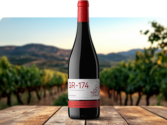 D.O.Q. Priorat