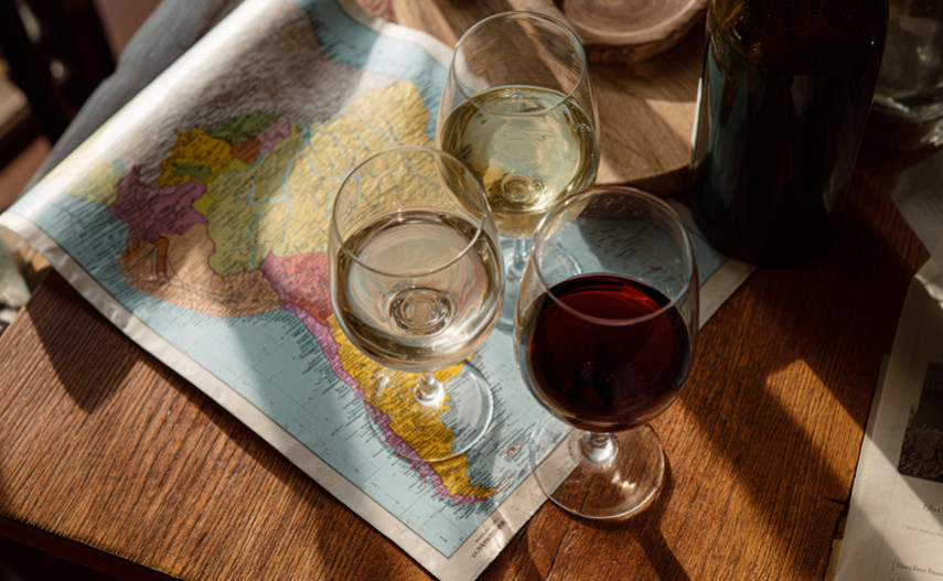 Vins d'Amérique du Sud, un voyage de curiosité et de passion