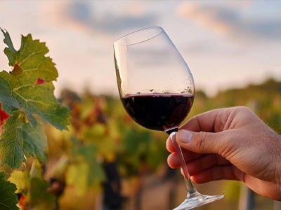 Vini senza solfiti: una tendenza destinata a durare 